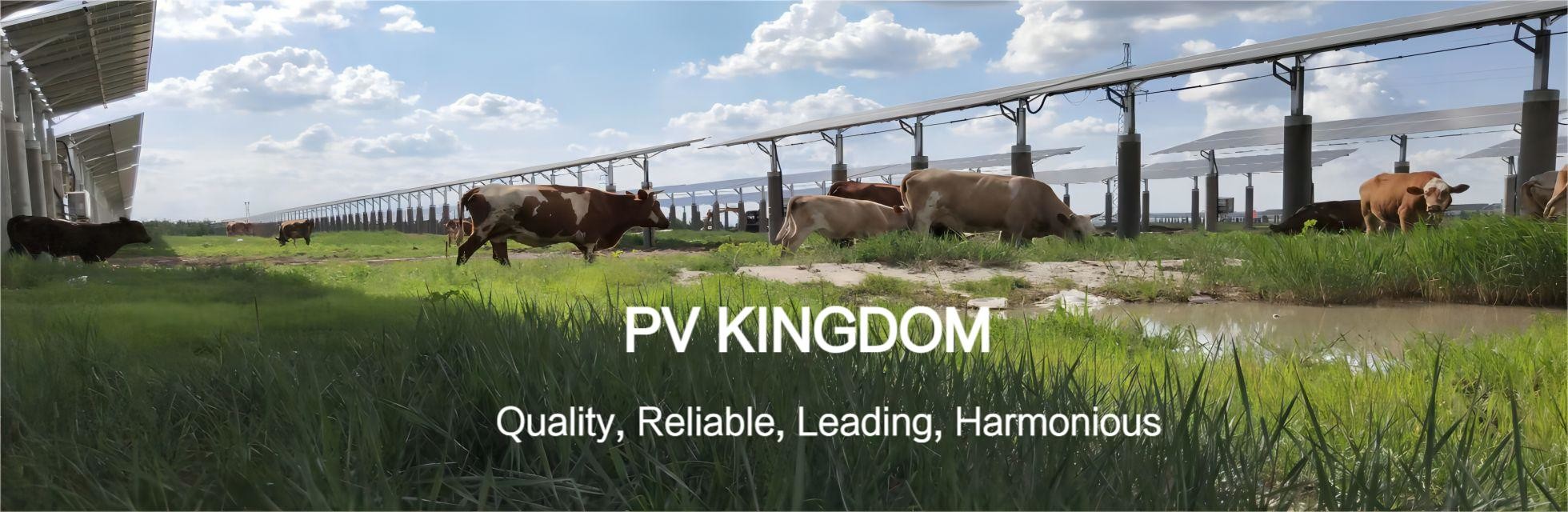 Qualität Solarsystem auf dem Dach usine